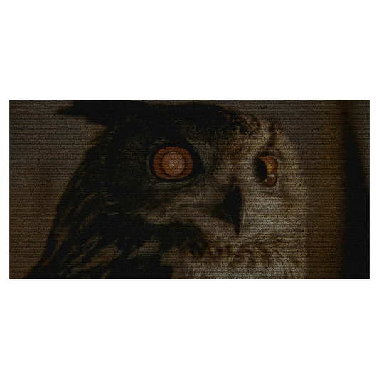 Tyrell's Owl